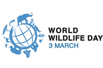 This World Wildlife Day, we take the opportunity to remind our members to remain vigilant to the wildlife trafficking trade. 