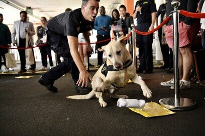 BNE Careers Expo Takes Off!