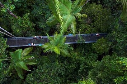 newcastle airport, flight, connectivity, cairns