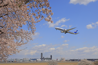 Partial Closure of Terminal Facilities - Narita International Airport