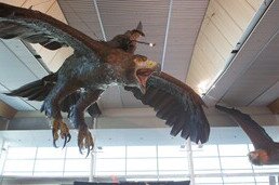 Wellington Airport