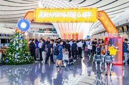 Beijing Daxing International Airport