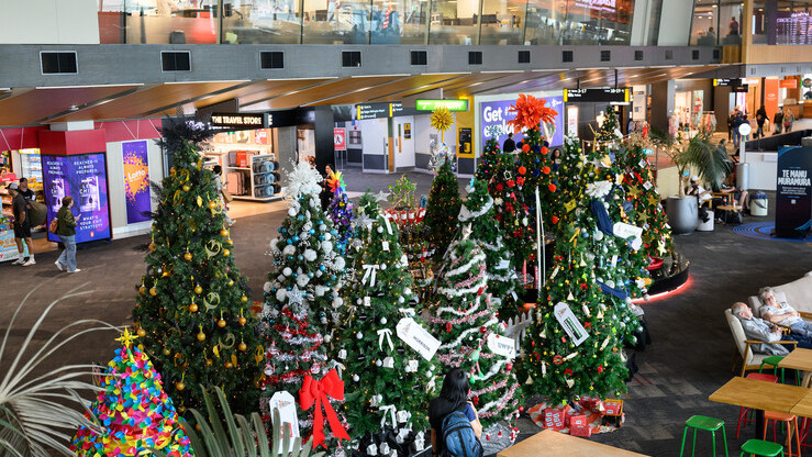 Wellington Airport, Cystic Fibrosis, Christmas Tree