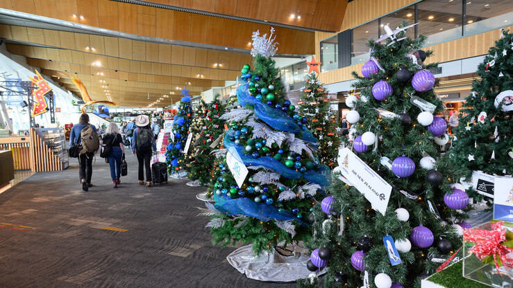 Wellington Airport, Cystic Fibrosis, Christmas Tree