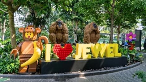 lego jewel changi