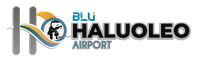 Haluoleo Airport